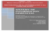 SISTEMA DE INFORMACIÓN GERENCIAL (SIGECOF).docx