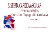 1.Corazón y Topografia cardíaaca