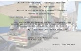 Contaminacion Parque Automotor Ciudad de Huanuco