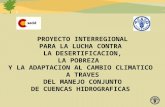 Presentacion Proyecto Ana Peru 15-06-13[Vf]