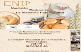 CNIP Nicaragua