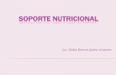11 Soporte Nutricional Pediatrico