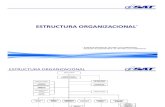 Estructura Organizacional SAT