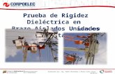 Prueba de Rigidez Dielectrica en Brazo Aislados Unidades Cesta (HIPOT)