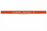 Clase Molar 2