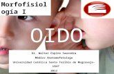 histologia del Oido/histology of the Ear