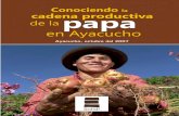Conociendo La Cadena Productiva de La Papa en Ayacucho Peru