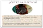 Semiologia de La Placenta