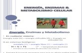 ENERGÍA, ENZIMAS & METABOLISMO CELULAR