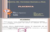 Placenta Listo