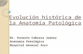 01 EVOLUCIÓN HISTÓRICA DE LA PATOLOGÍA 2011