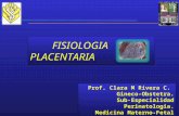 Fisiologia Placentaria