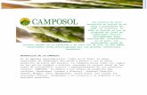 Empresa Camposol