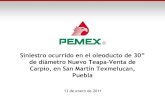 Comparecencia Pemex 110113