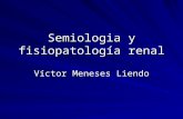 Semiologia y Fisiopatologia Del Tracto Urinario