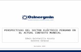Perspectivas Sector Electrico Peruano