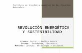 Revolución energética y sostenibilidad