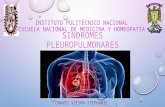 Sindromes pleuropulmonares steph