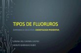 Fluoruros dentales, aplicación tópica y toxicidad