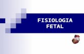 Fisiología fetal - Fisiopatológica I, Primera Parcial