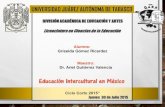 18. interculturalidad y educación intercultural en méxico