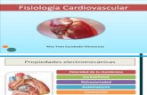 Fisiologia Cardiovascular Propiedades del miocito cardiaco