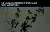 Enfermedades fungicas y bacterianas de la mucosa oral