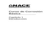 NACE Curso de Corrosion Basico NACE Espanol