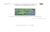 2006. CENTA. Guía Técnica del Cultivo de Pipian Criollo