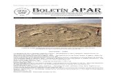 Boletin APAR Vol. 3. No 10, Noviembre 2011