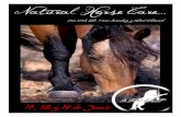 Curso de Natural Horse Care en Cataluña