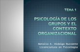 Tema 1 Psicologia Grupos y Contexto Organizacional