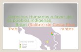 Derechos de los pueblos Indígenas De Costa Rica.