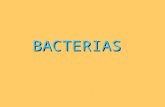 Bacterias y virus2 (1)