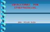 6847996 infecciones-por-streptococcus
