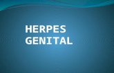 Herpes genital - GUSTAVO GÓMEZ 6to naturales.