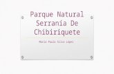 Parque natural serranía de chibiriquete