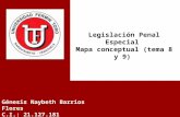 Legislación Penal Especial -Mapa conceptual (tema 8 y 9)