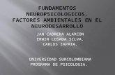 Fundamentos neuropsicologicos