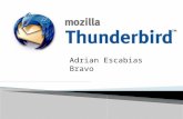 ThunderBird i el correu i agenda electrònica - Adrian Escabias