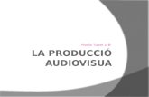 Tema 12: La producció audiovisual