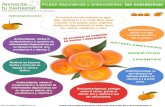 Infografia Frutas depurativas y antioxidantes: las mandarinas