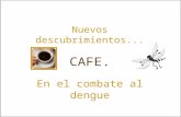 Cafe de el salvador