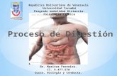 Proceso de Digestion, Maritza Ferreira