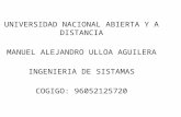 Manuel alejandro-ulloa-aguilera-introduccion -a-la -ingenieria-de-sistemas-ii-2013