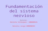 Fundamentación del sistema nervioso