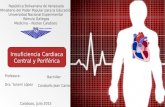 insuficiencia Cardiaca Central y Periferica (SHOCK)