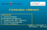 Fisiologia cardiaca 2009
