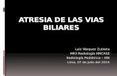 Diagnóstico por imágenes de la atresia vias biliares