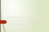 Proyecto de Conservación del Arte Naif Guatemalteco.